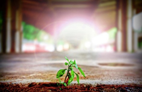 Screen Shot 2016-04-20 at 09.29.33