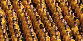 Screen Shot 2016-03-23 at 13.55.04