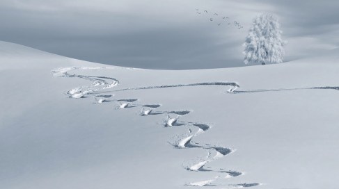 Screen Shot 2017-05-25 at 20.50.39